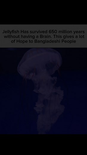 𝗣𝗿𝗶𝗻𝗰𝗲 𝗣𝗮𝗿𝘁𝗵 on Instagram