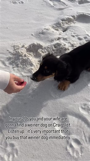 Marshall Strong on Instagram: "Listen up bub, yes Craigslist still exist. I’m injured rn, currently trying to heal something called lateral epicondylitis. Which is basically like a severe case of tennis elbow. I’ll get back to posting fitness content asap, until then though you can enjoy silly clips of Winston. I’m also gonna start documenting what it’s like to live in a tiny home. Me and Lex are currently living in a tiny home, until we can get a bigger place in the area we want. Drop a follow