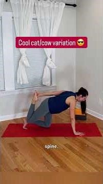 Spinal Mobility Yoga Sequence 🔆 #mobility #yogaflow