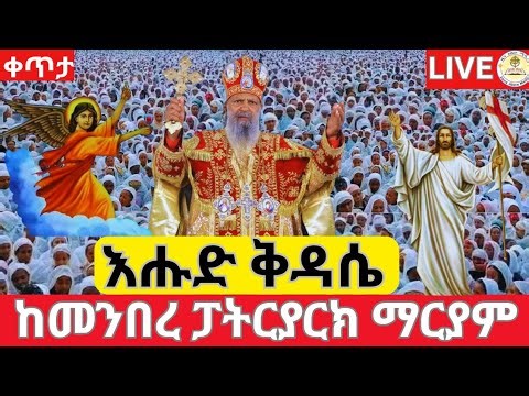 🔴Live እሑድ ቅዳሴ‼️ቀጥታ ከመንበረ ፓትርያርክ ቅድስተ ቅዱሳን ማርያም ገዳም👉EOTC Live 👉ዜና አበው ሚዲያ Zena Abew Media