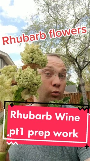 How to Make Rhubarb Wine at Home: Step-by-Step Guide