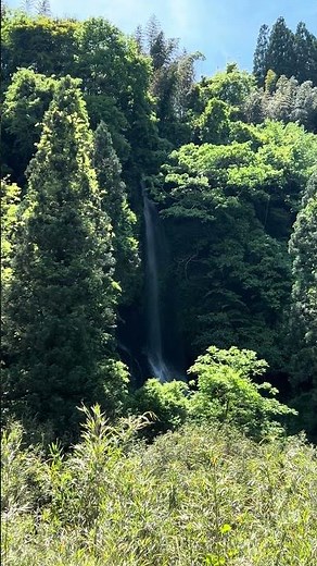 【熊本・大分滝めぐり②】「𡈽田滝（はんたたき）」その5、滝壺の右の無名滝。【2026/05/11】熊本県阿蘇郡小国町宮原