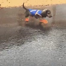 4.6K views · 27 reactions | Pack your rain gear, Virginia. It's gonna be a wet weekend. Be a safe driver & remember these rainy day driving tips  lights + wipers on ️ eyes on the road ↔️ increase your following distance  slow down  #KnowBeforeYouGo & check 511.VDOT.Virginia.gov for road conditions | Virginia Department of Transportation | Facebook