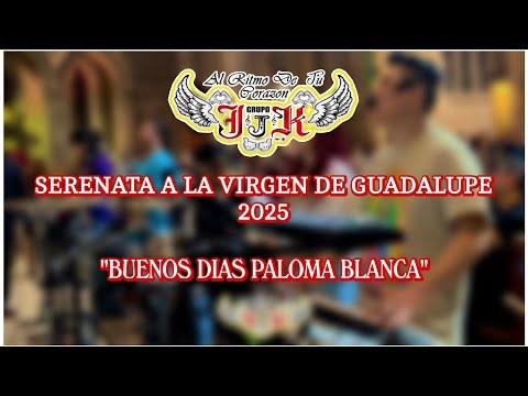Grupo JJK - “Buenos Dias Paloma Blanca” [Live]
