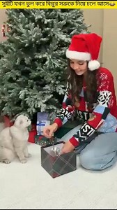 When Sweety mistakenly brings Billur's enemy😂_#viral #facts #funny #cat #toys