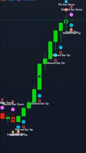📊 Price Action Bars Indicator – Master Market Trends & Reversals! #tradingview #trading #indicator
