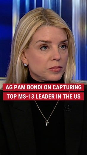 817K views · 32K reactions | 'WORST OF THE WORST': Attorney General Pam Bondi joins Laura Ingraham to discuss the takedown of an alleged MS-13 leader. | Fox News | Facebook