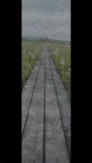 田代平湿原 青森市田代にある高層湿原です😃ワタスゲ(白い綿のような植物)レンゲツツジ(赤い花の植物)が見頃でした😀バックには八甲田山が見えます😃