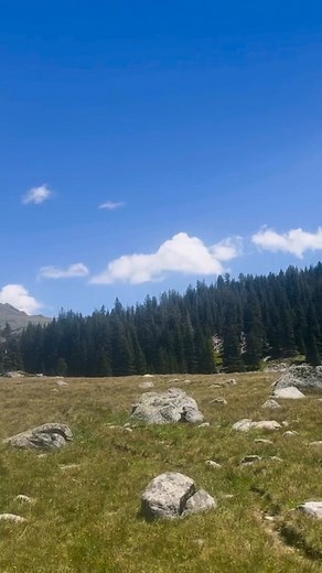 Saddle Up for the Ultimate Horseback Riding Adventures! 🏔️🐴🤠 Wyoming's Wild Wonders: July 28-31: 3-Night Horse Camp ($2,399, 4 spots left), Aug 1-3: Cloud Peak Wilderness Pack Trip ($2,999, groups of 6-8), Aug 18-21: Cowgirl Camp ($2,399, 4 spots open), Aug 30-Sep 2: Beginner's Western Retreat ($2,399, 2 spots left). 🌴🌋🐮Colombia's Colorful Trails: 4-Day Mule Ride Adventure ($550/person, 6 spots), 9-Day Horseback Riding Journey ($1,999/rider, all-inclusive), Romantic Ranch Getaway ($1,500/c