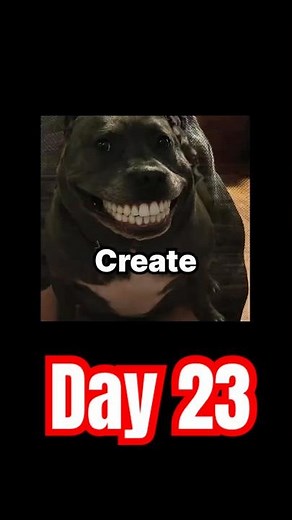 Day 23