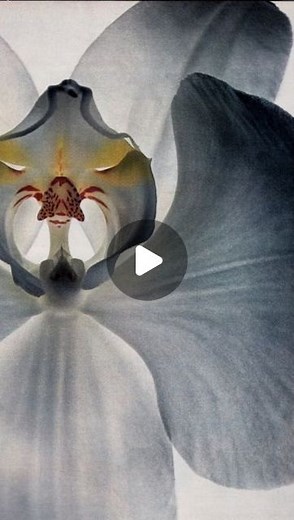 Manuela Toro on Instagram: "upcycling rápido para transformar tres tops viejos que tenía en mi clóset ✨🍓 #upcycling #upcycled #modacircular #costura"