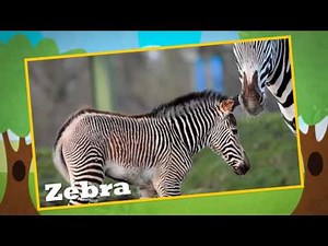Wild Animals learn for kids Compilation 60 Min !!! Animal Finger Family Songs Handplaytv for kids