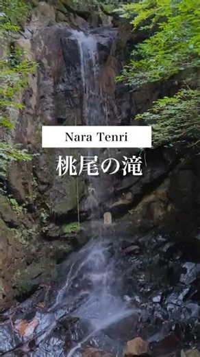 [Nara's hidden power spot] Chairing at Momoo Falls, tracing the roots of Japan's oldest shrine, I...