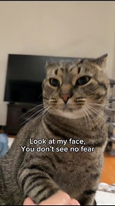 Cat Face: Winking One-Eyed Cat with Tongue Out