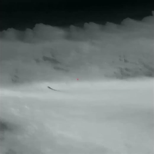 Coyote Meets Lead |Infiray Bolt|Springfield 2020Waypoint|Remington Core-Lokt 140g|Night Hunting