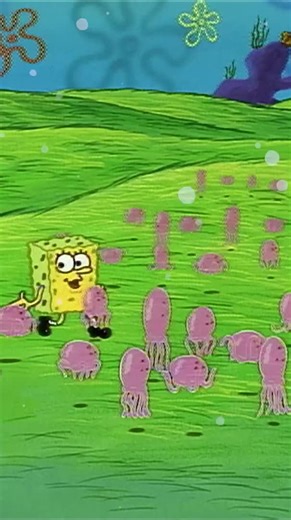 SpongeBob, but make it documentary 😂🤓 #gooutside #spongebob #documentary #planet #comedy