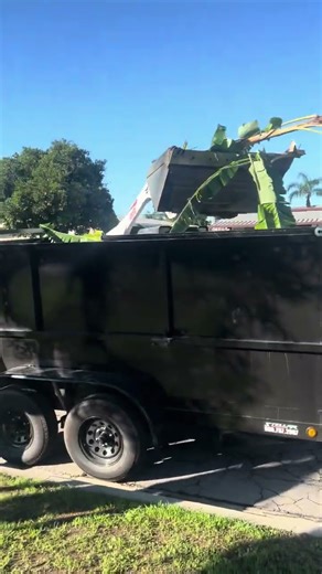 Fast & Hassle-Free Junk Removal You Can Trust