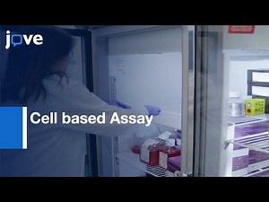 Cell based Assay to Detect Antibodies in Enzyme Replacement Therapies | Protocol Preview