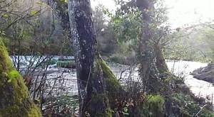 2.2K views · 125 reactions | FREEDOM FESTIVAL on Reels | Facebook