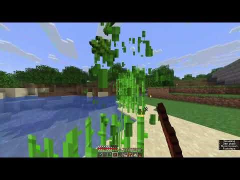 Early Morning Craftin: Michael SMP