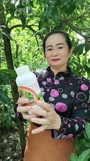 Bí quyết trồng và chăm sóc HOA HỒNG rực rỡ quanh năm | Nhà Vườn An Thắng