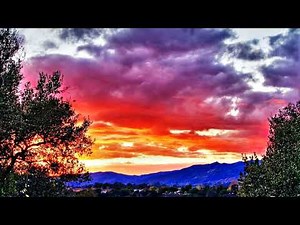 Paul Hardcastle - Revival