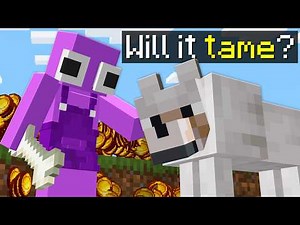 Minecraft, But You Bet For Everything...