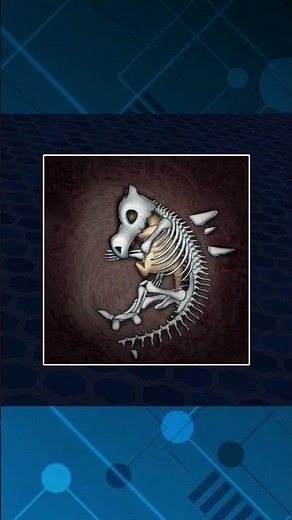 👉 LA HISTORIA DE CUBONE ES MENTIRA