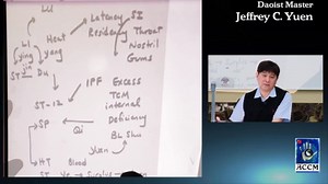 Trailer - Urinary Bladder Channel of Classical Chinese Medicine