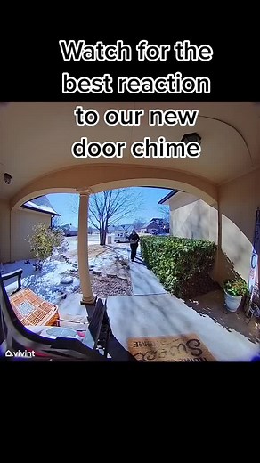 C H E S L E Y on TikTok