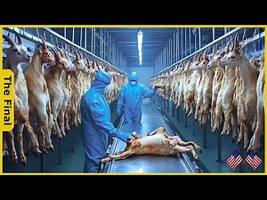 How US Farmers Made $10M From Goats In Just 6 Months - Farming Documentary