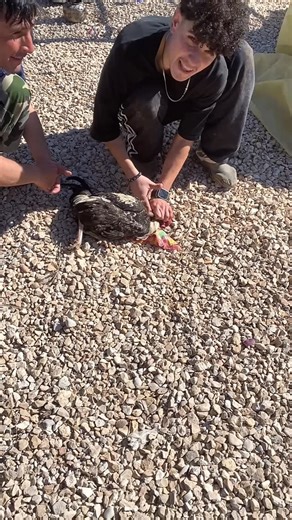 ‎خنده/طنز/شوخی‎ on Instagram: "#laughter #fan #comedy #explorar #fanedit"