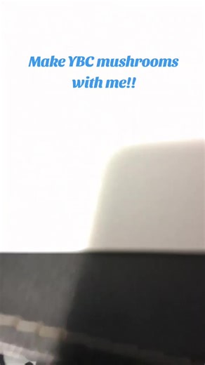 Make YBC mushrooms with me!! I realized I forgot halfway through so I added them. #Anime #YBC #yarichinbitclub #Drawing #Mushrooms