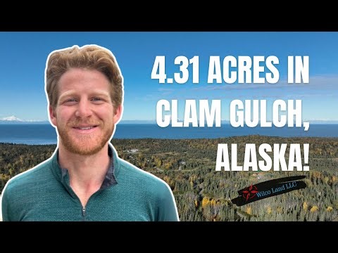 4 31 Acres Along Alaska's Sterling Highway - Clam Gulch, Kenai Peninsula Borough