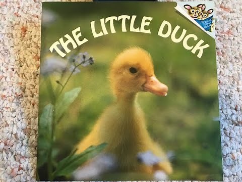 Story Time- The Little Duck