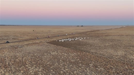 119 reactions · 19 comments | Shitbox Rally; It’s not a race, it’s an adventure that will change your life. You need a car worth less than $1,500, a co-driver, the desire to spend 7 days in remote Australia and the dedication to raise much needed money for Cancer research. Sound like fun? We promise you it is. | Shitbox Rally | Facebook