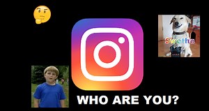 Instagram Accounts Add New Life To An Old Idea With "What X Are You?" Social Game