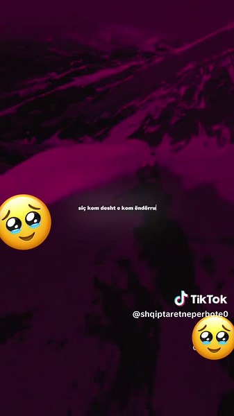 #viral #fyp #gjest #shqiptaretneperbote🇦🇱 #gurbetimallkuar🥺