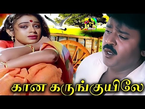 கானக் கருங்குயிலேகாதல் ஓர் பாவமடி | Kaana Karunguyile HD song | Mano | Chitra | Ilaiyarja