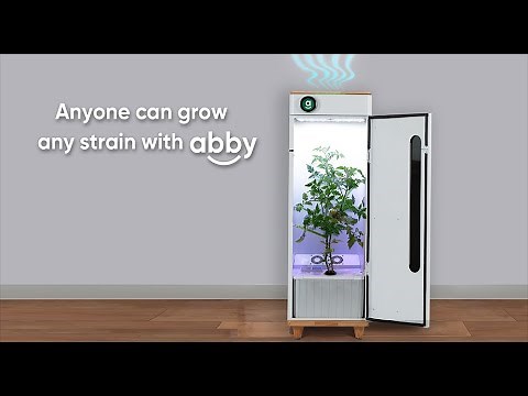 Hey abby: The All-In-One Smart Grow Box Debut | Build Your Hydroponic Farm at Home