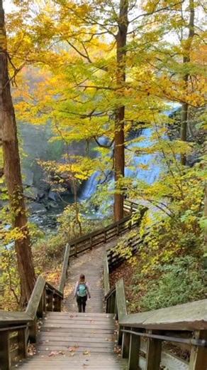 The best Fall hike in Ohio😍🍁🥾