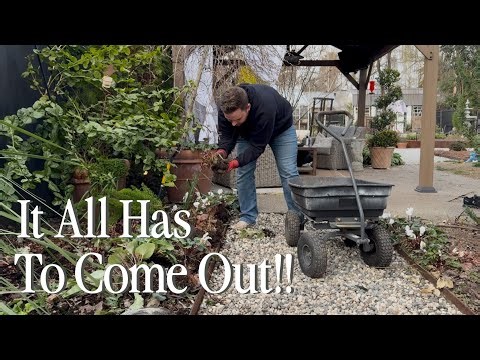 Saving What I Can Before the Big Project Starts || Visit Our Garden