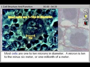 Cell Biology: Cell Structure and Function