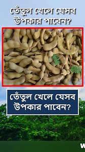 2.4M views · 33K reactions | তেঁতুল খেলে যেসব উপকার পাবেন  #reelsfb #foryoupage #tips #food #viralreels #reelsvideo #reelsviral #Reels #fyp #trendingreels | World Data Knowledge | Facebook