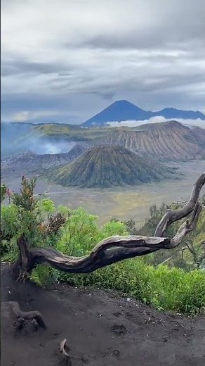 Mount Bromo Sunrise – The Most Breathtaking Volcano View in Indonesia 🇮🇩 #mountbromo