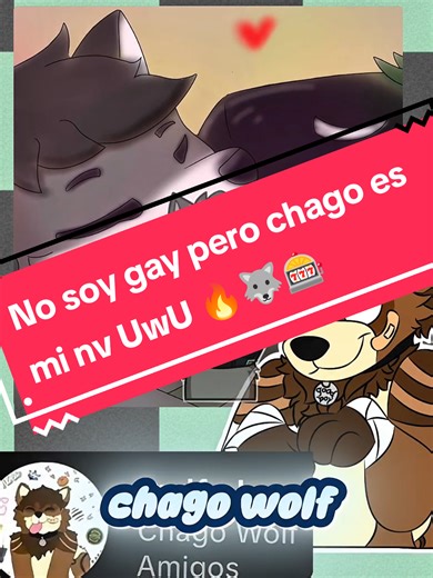 No soy gay UwU pero chagito es mi nv #fypシ゚viral🖤tiktok #fypp #fypシ゚ #furryfandom #furry @Chago Wolf