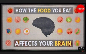 [TED-Ed动画短片] How the food you eat affects your brain｜你所吃的食物对大脑有什么影响