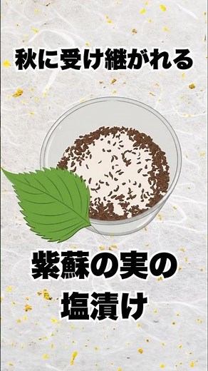 紫蘇の実の塩漬け｜秋に受け継がれる保存の知恵
