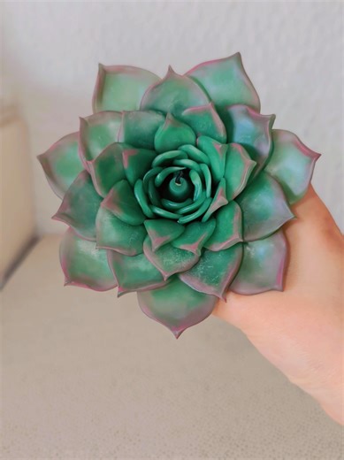 Handmade Beauty Wax Succulent Candles