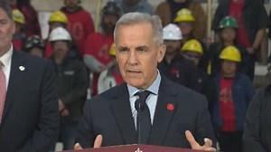 Carney says U.S. trade policy is 'radically different'